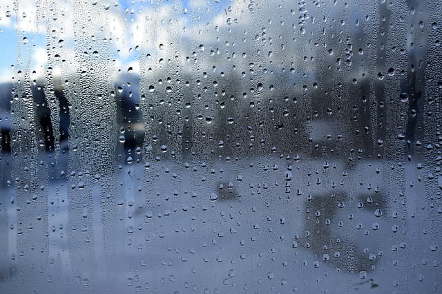 window